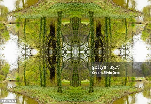 kaleidoscope ivy trees - virtualitytrend stock pictures, royalty-free photos & images