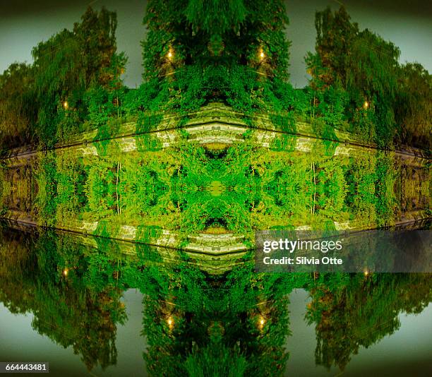 kaleidoscope photo of green trees by canal