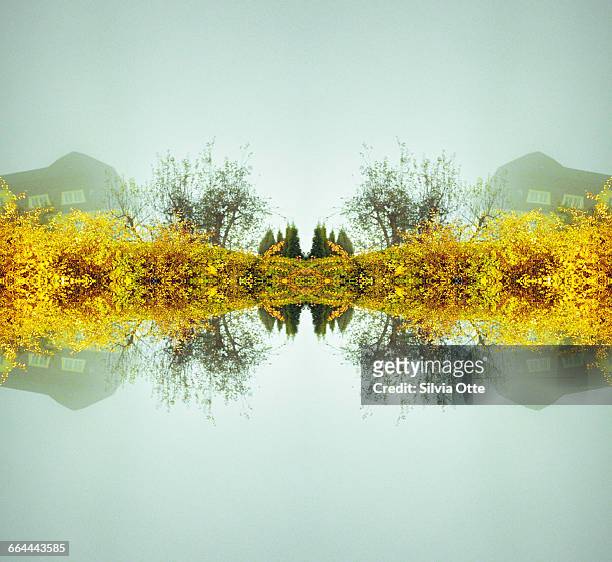 kaleidoscope hedge with house - kaleidoskop stock-fotos und bilder