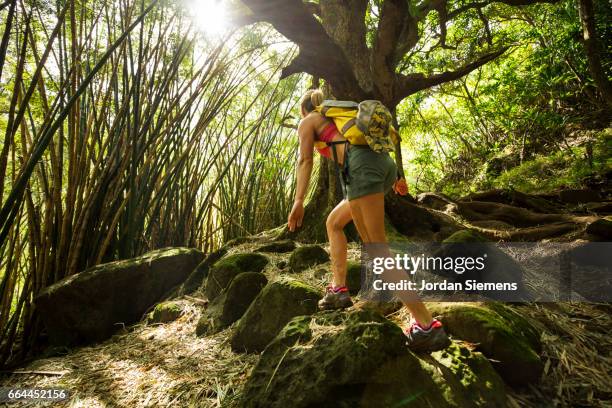 a woman hiking amongst bamboo - groene korte broek stockfoto's en -beelden