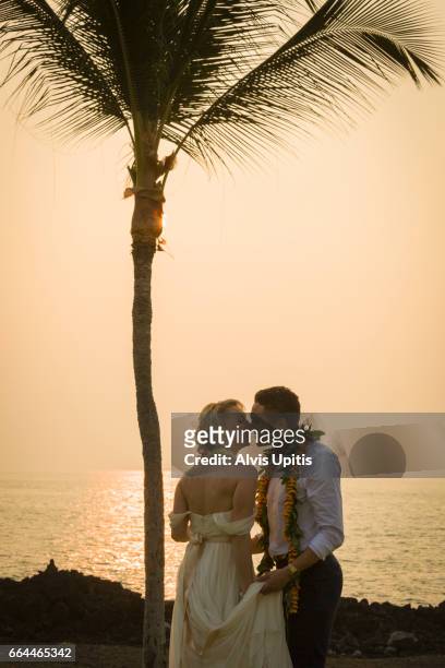 couple pose for photos after hawaii wedding. - interracial wife photos stock-fotos und bilder