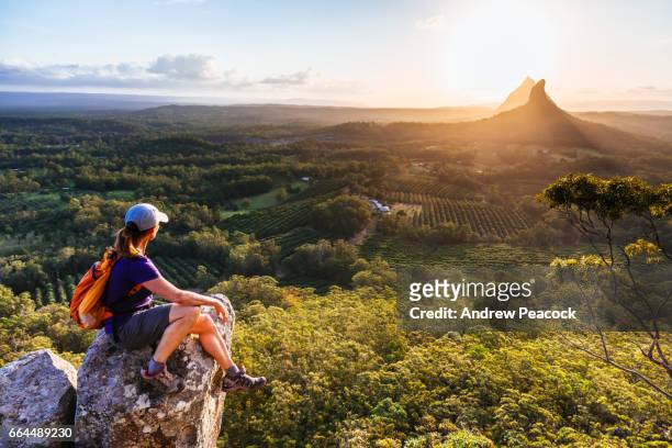 a woman on the summit of mount ngungun - hiking australia foto e immagini stock