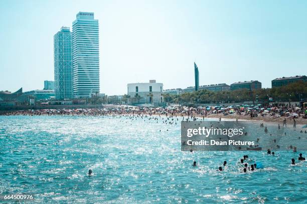 barcelona, spain - la barceloneta - barceloneta beach bildbanksfoton och bilder