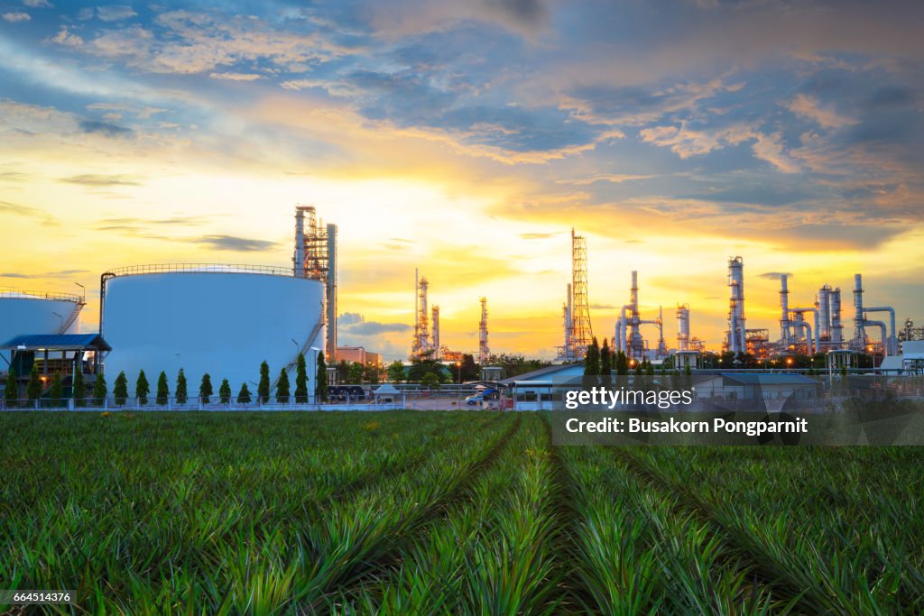 Oil refinery industry at twilight