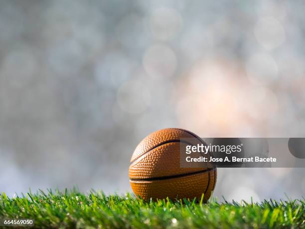 ball of  basketball ball  on a surface of  grass of a soccer field - deporte de competición stockfoto's en -beelden
