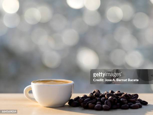 heap of coffee beans toasted and a cup of coffee  on a table of wood illuminated by the light of the sun - frescura stock-fotos und bilder