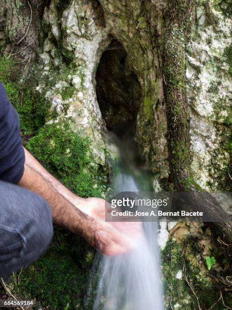 birth of a river of water mountain cleans, that appears from a hole in a rock with roots and moss in the nature, and hands of a man washing with hands in the water - frescura stock-fotos und bilder