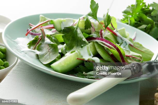 salads: salad with cucumber, lettuce, soybeans, parsley and yoghurt dressing - soy dressing stock pictures, royalty-free photos & images