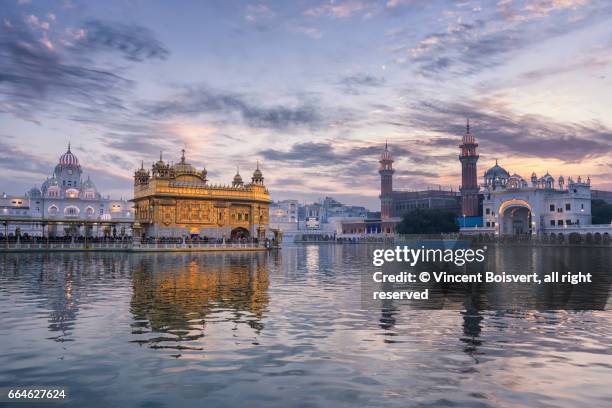 golden temple at dusk, amritsar, india - amritsar india stock pictures, royalty-free photos & images