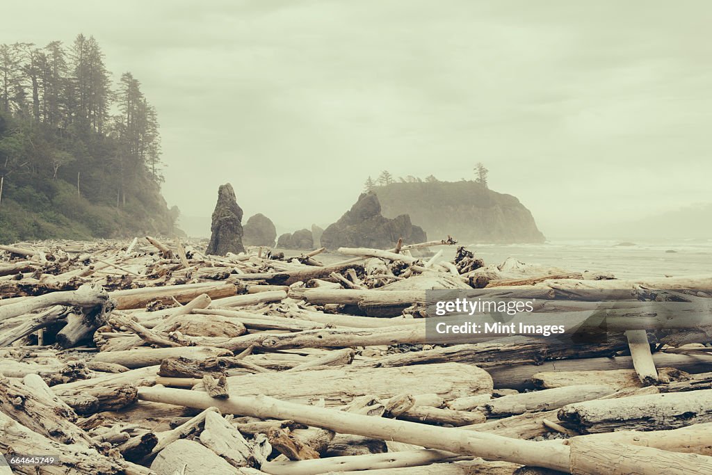 View of coastline from Ruby Beach, piles of driftwood in foreground.