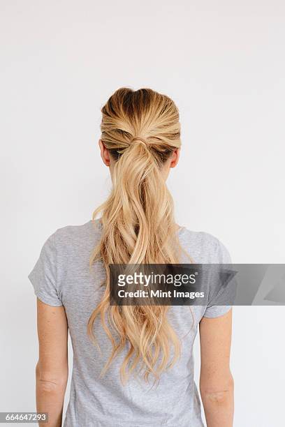 a young woman with long blond wavy hair tied in a ponytail. back view. - langes haar stock-fotos und bilder