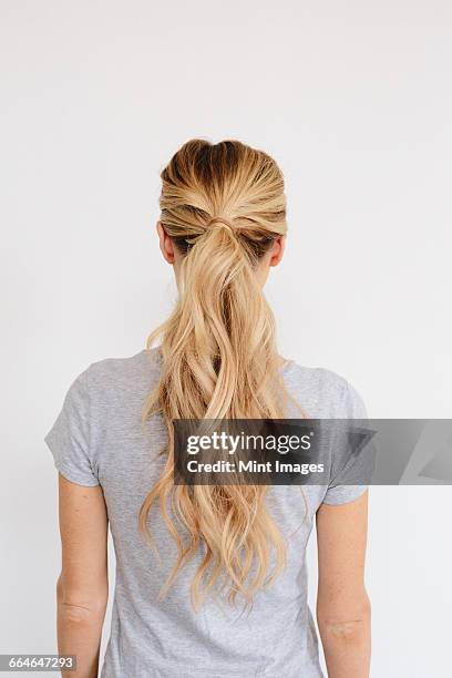 a young woman with long blond wavy hair tied in a ponytail. back view. - paardenstaart stockfoto's en -beelden