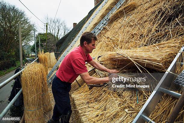 Thatching Rope 276 Roof Buckling Stock Photos, High-Res Pictures, and Images - Getty ...
