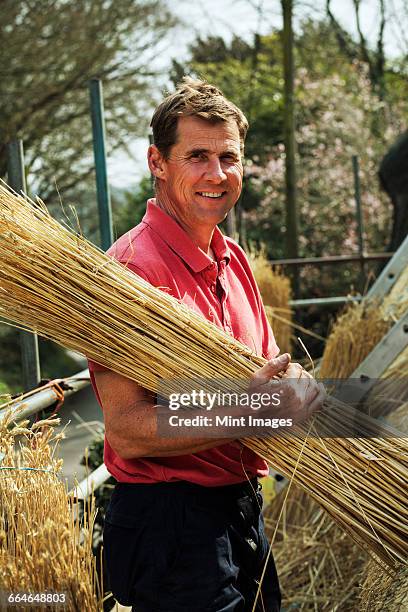 thatcher carrying a yelm of straw. - kompetenz bündeln stock-fotos und bilder