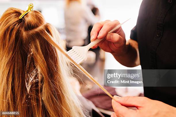 a hair colourist, a man using a paintbrush to cover sections of a womans blonde hair. - haarkleuring stockfoto's en -beelden