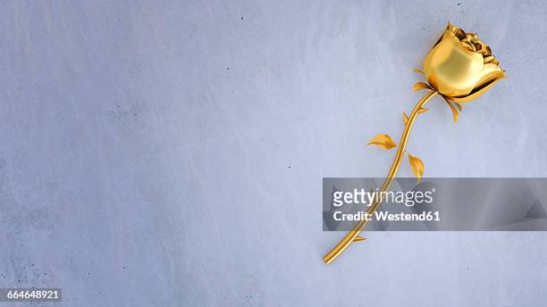 3d rendering, golden rose on concrete, golden - gold edelmetall stock-grafiken, -clipart, -cartoons und -symbole