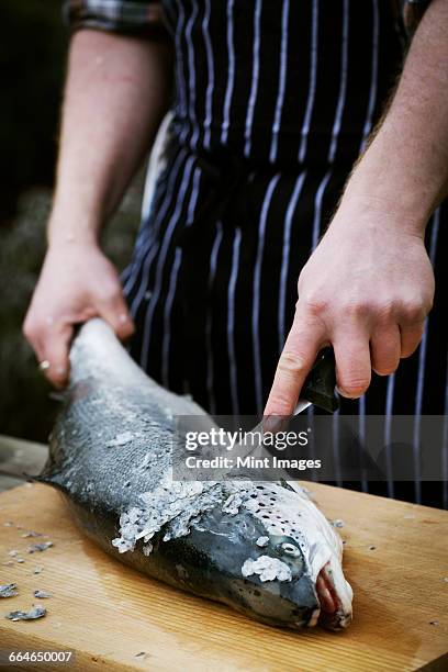 48 Descaling Fish Stock Photos, High-Res Pictures, and Images - Getty Images