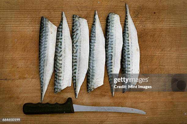fresh mackerel fillets and a knife on a chopping board. - filetto foto e immagini stock