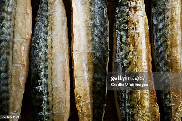 smoked fish fillets laid out in a row. - mackerel - fotografias e filmes do acervo