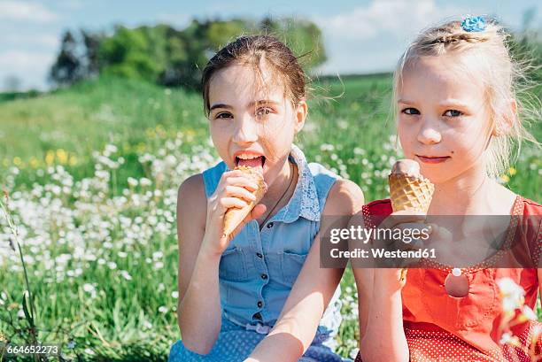 two girls in meadow eating ice cream cones - girls licking girls stock pictures, royalty-free photos & images