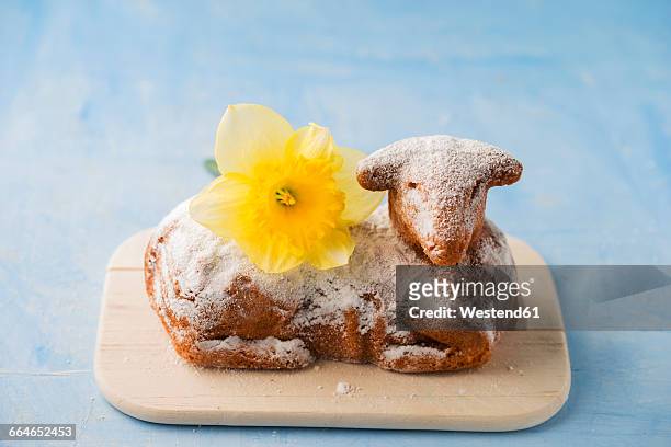 easter lamb and daffodil on chopping board - daffodil isolated stock pictures, royalty-free photos & images