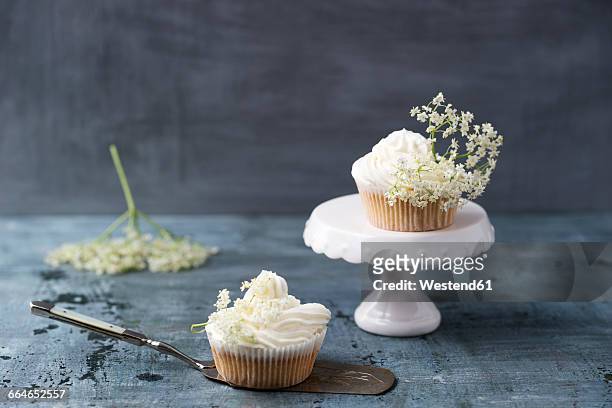 two cupcakes with elderflower creme - elderberry stock-fotos und bilder