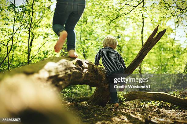 two children playing in forest - kinder klettern stock-fotos und bilder