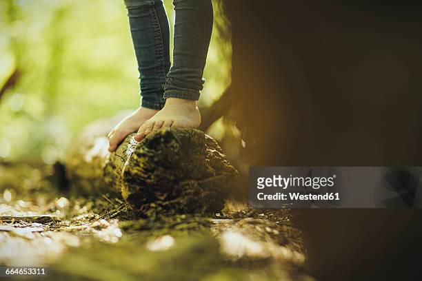 girl in forest standing on log - girls barefoot in jeans fotografías e imágenes de stock