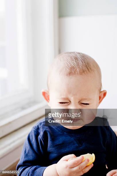 portrait of baby boy tasting lemon slice and pulling a face - bébé grimace photos et images de collection