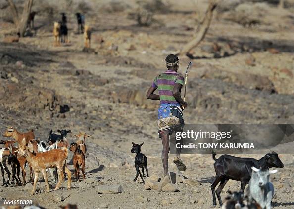 KENYA-DROUGHT-LIVESTOCK-POLITICS-OIL-WATER KENYA-DROUGHT-LIVESTOCK-POLITICS-OIL-WATER