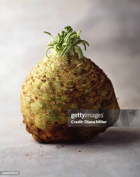 celeriac, still life - apio nabo fotografías e imágenes de stock