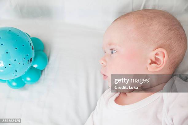 baby boy staring at blue baby toy, overhead view - baby octopus stock pictures, royalty-free photos & images