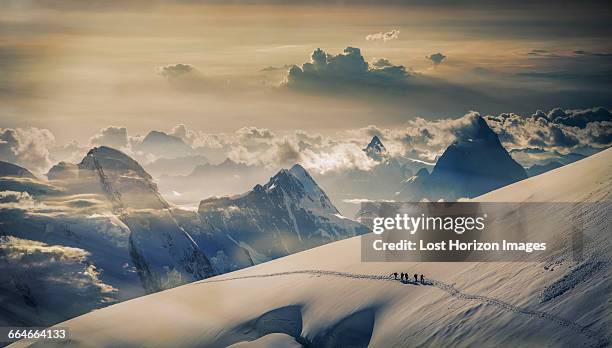 climbing team on a glacier ascending the jungfrau, in the berner oberland, alps, canton bern, switzerland - berne canton fotografías e imágenes de stock