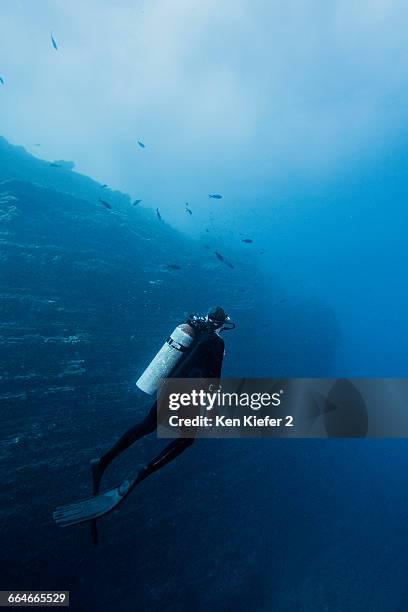 rear view of scuba diver by underwater rock face - socorro island stock pictures, royalty-free photos & images