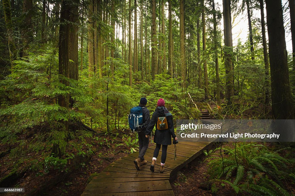 Couple in forest on wooden walkway, Lynn Canyon Park, North Vancouver, British Columbia, Canada