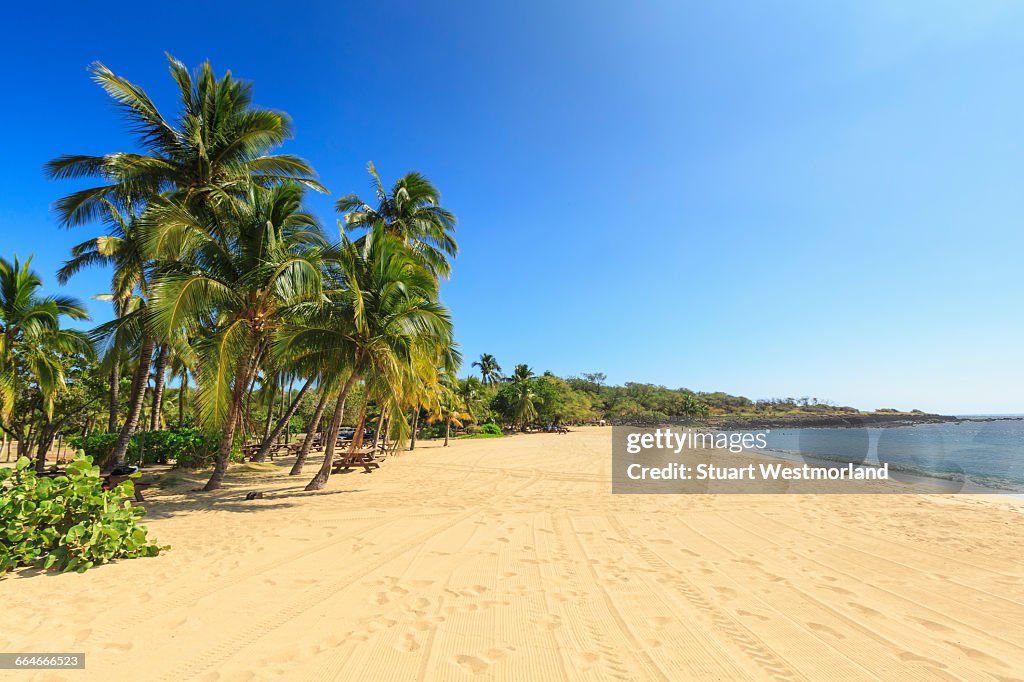 Golden beach and palm trees at Hulopoe Beach Park, Lanai Island, Hawaii, USA