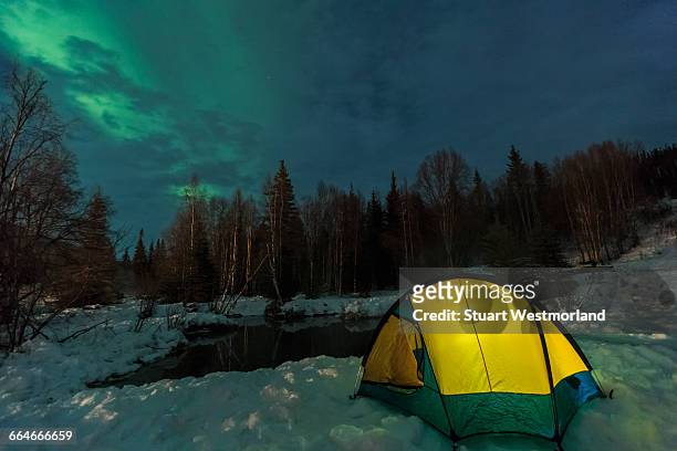 aurora borealis, northern lights above tent lit up with lantern, near chena resort, near fairbanks, alaska - stuart camp bildbanksfoton och bilder