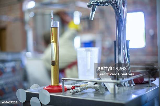 hydrometer of beer in microbrewery - hydrometer bildbanksfoton och bilder