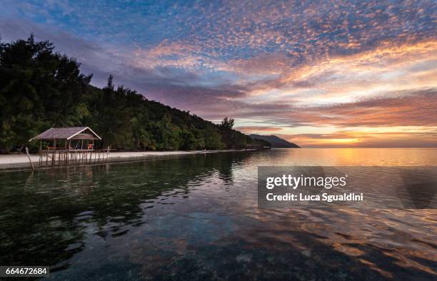 kri island sunset - raja ampat islands 個照片及圖片檔
