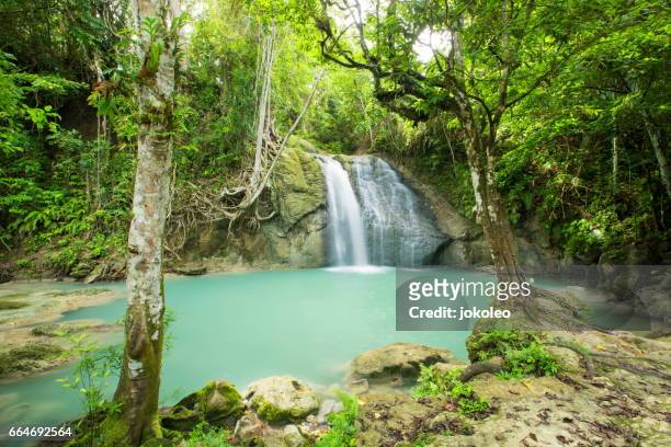wafsarak waterfall - west papua stock pictures, royalty-free photos & images