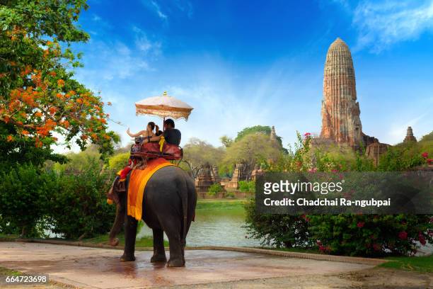 travel by elephant - tourist ride stock pictures, royalty-free photos & images