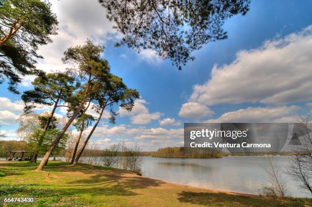 lake wolfssee in duisburg, germany - wolkengebilde stockfoto's en -beelden