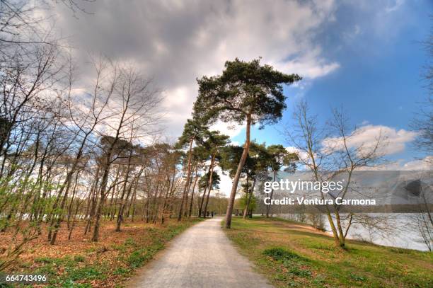 lake wolfssee in duisburg, germany - wasserfahrzeug stock pictures, royalty-free photos & images