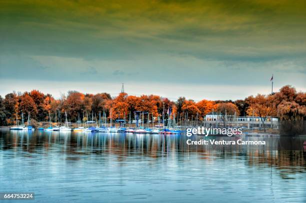 landing stage in the lake masurensee in duisburg, germany - freizeitaktivität im freien bildbanksfoton och bilder