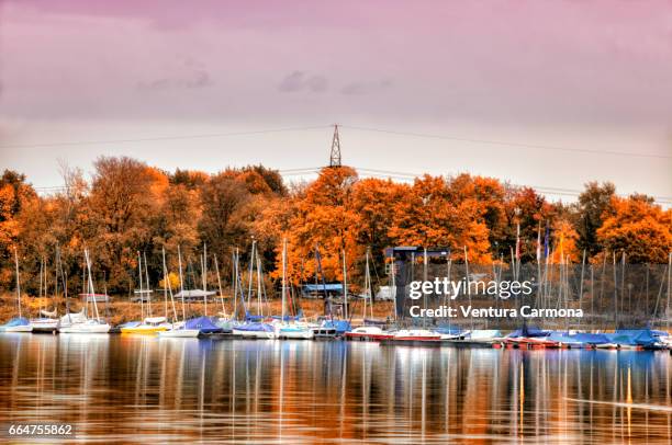 landing stage in the lake masurensee in duisburg, germany - wolkengebilde foto e immagini stock