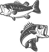 Set of bass fish icons isolated on white background.