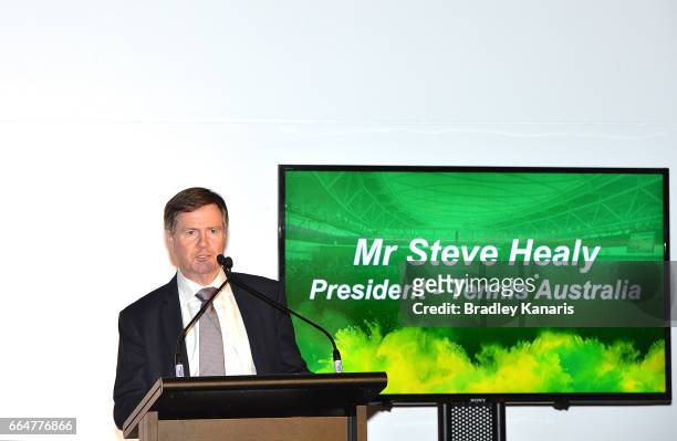 President of Tennis Australia Mr Steve Healy speaks at the official dinner at GOMA ahead of the Davis Cup World Group Quarterfinal match between...