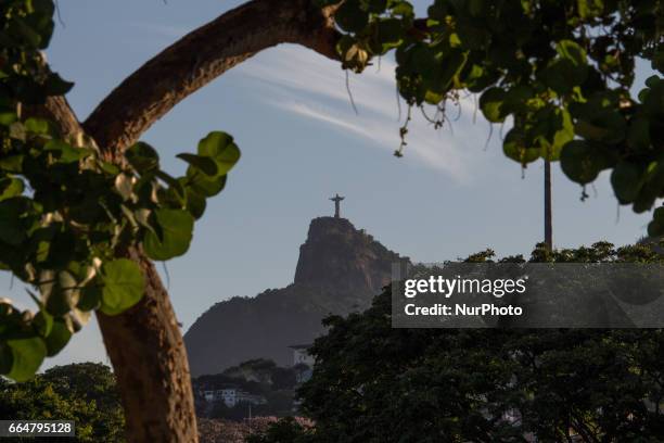 View of the region of Aterro do Flamengo and Marina da Glória, a tourist point of Rio de Janeiro from where you can see the Guanabara Bay, the Sugar...