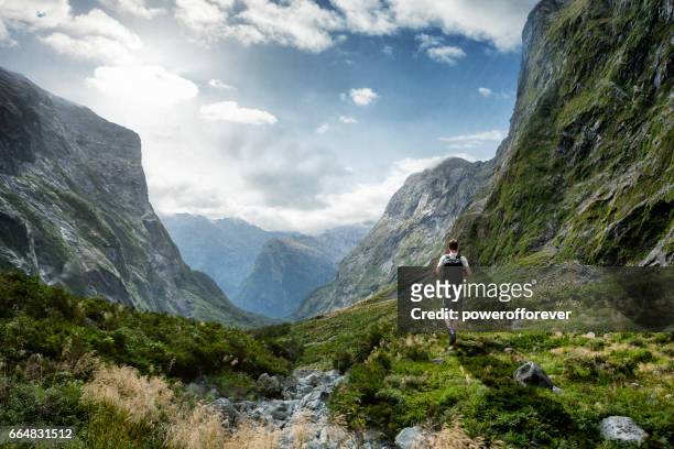 hiker in the landscape of the southern alps in new zealand - new zealand southern alps stock pictures, royalty-free photos & images