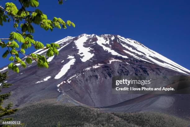 refreshing fuji in may - 静岡県 stockfoto's en -beelden